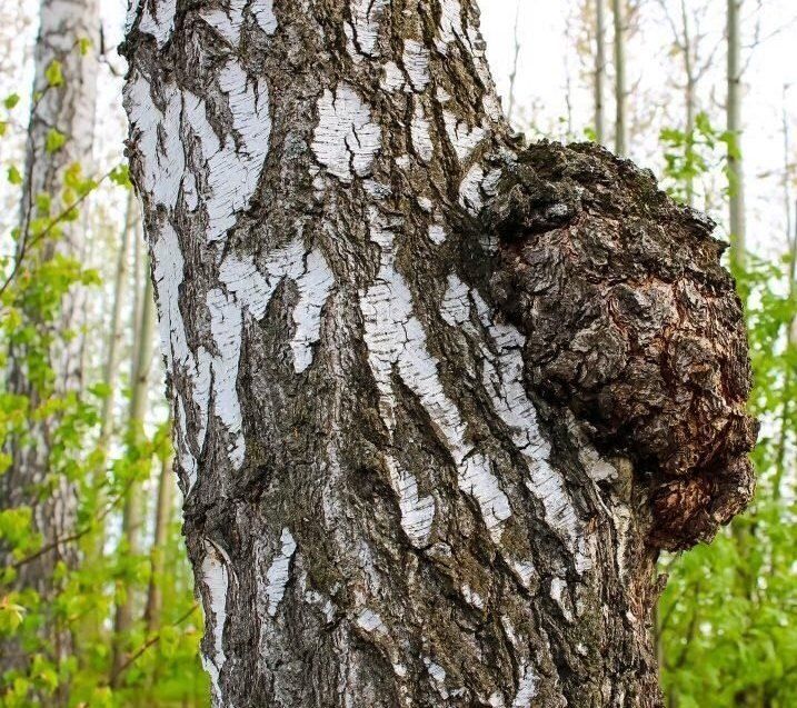 ����: ��������� ������� �� ����� ������