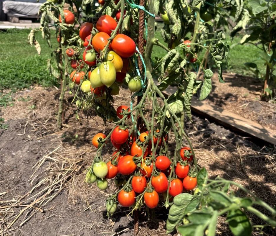 ������ � ��������: � ��� ������� � ��� ��� ���������?