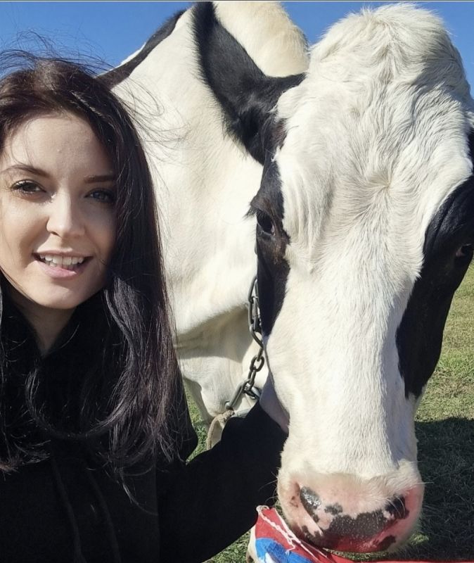 ��������� ���������������: �������� �� ���������� �����