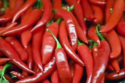 �����, ������� ������� ������� � ��� ������: 7 ������ ������ ��� ��������� ������