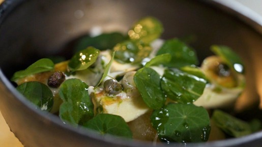 ������ �����: ��� ����������� ���������� ����� � ������� � ��������