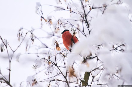 �������� ����: �������� ���������, �� �������� �� ���������