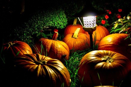 �������� � �������� ����: ��� ������� �� ���� ����������� ����