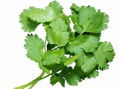 ������������ ������� �����: ������ ���� ����������, � ������ � ����������?