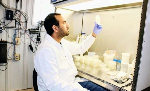 ����� ������ ��� ������������� ������: ��� �������� ������ ��������