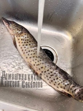 ������ ������� �� ���� � ����������� ������� ����