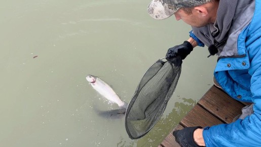 ��� ��������� ���������������� ������: ������ � ������������