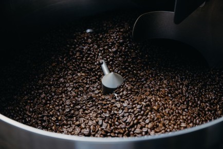 �������� ���������: ��� ������� ���������� ������������ ������� ����