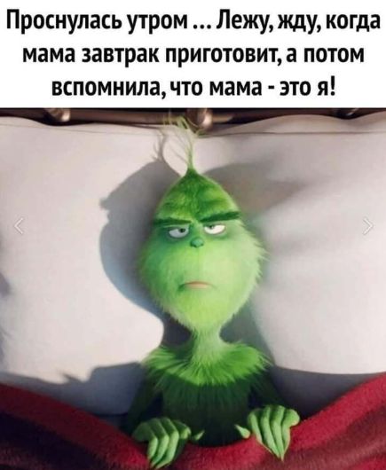Завтрак: необходимость для организма или просто лишняя трата времени?